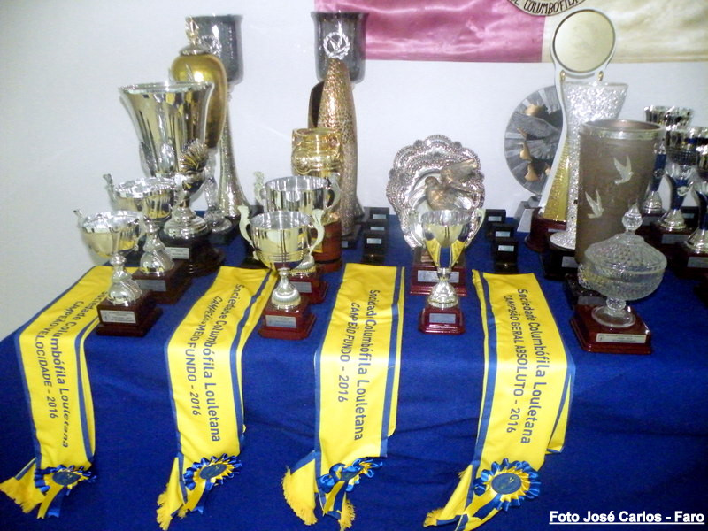 Loulé 2016 006.JPG