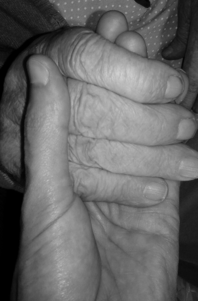 IMG_20161010_160200.jpg IMG_20161010_160200.jpg