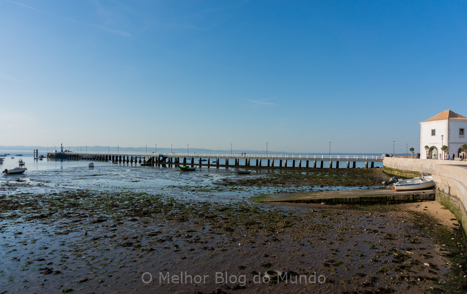 DSC08923.jpg