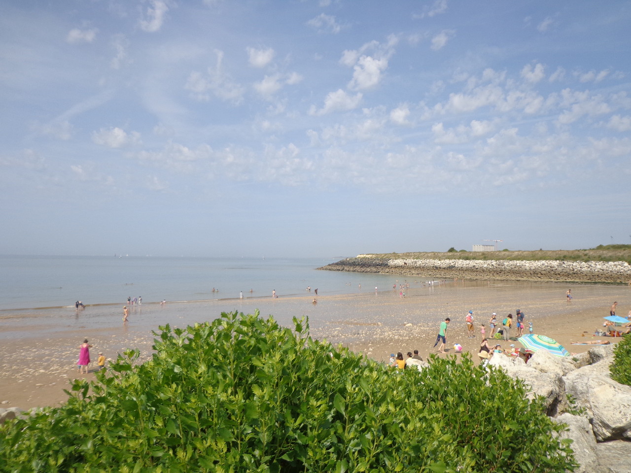 DSC02763.JPG