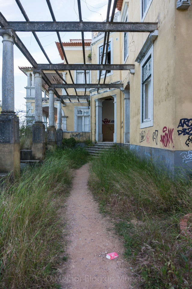 DSC09395.jpg