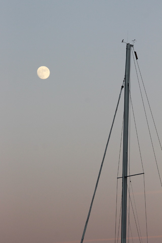 IMG_3032.JPG IMG_3032.JPG