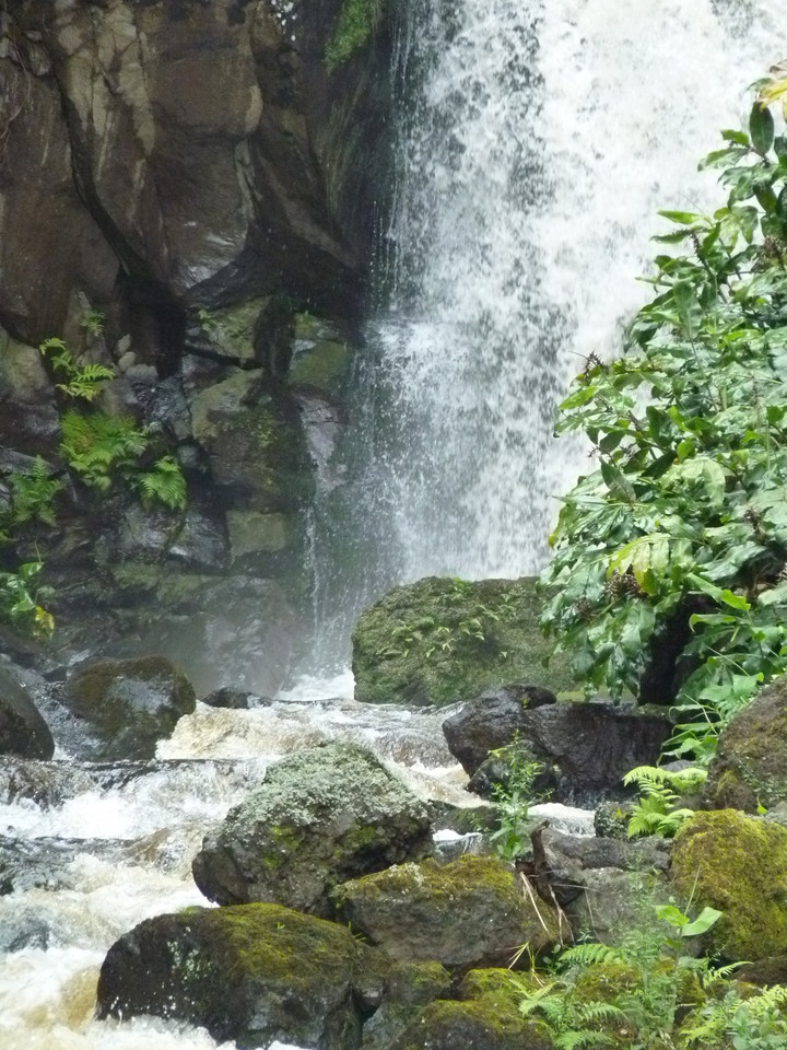 Ribeira do Ferreiro - Ilha das Flores - Açores (6 Ribeira do Ferreiro - Ilha das Flores - Açores (6