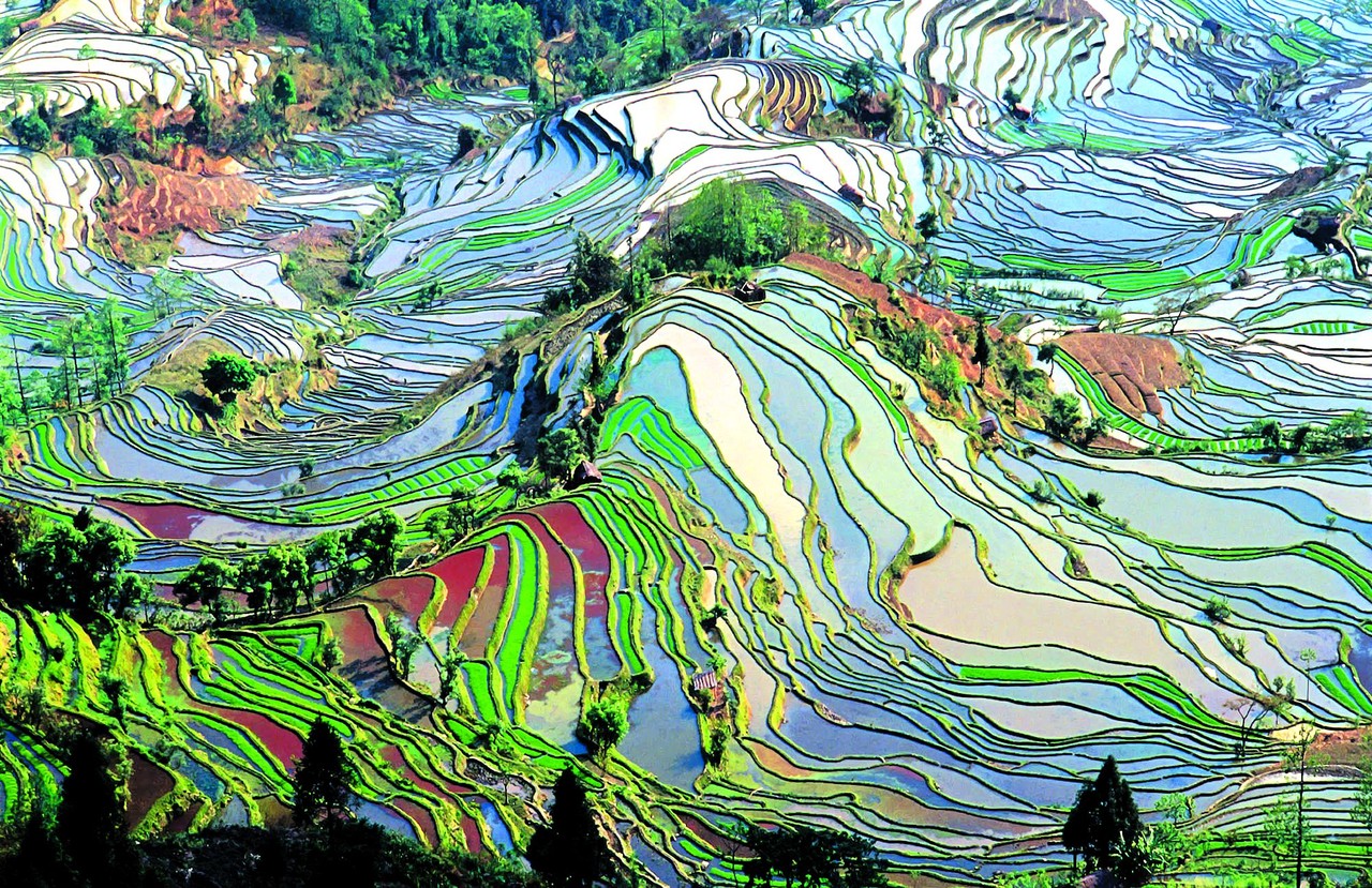 Terrace_field_yunnan_china_denoised
