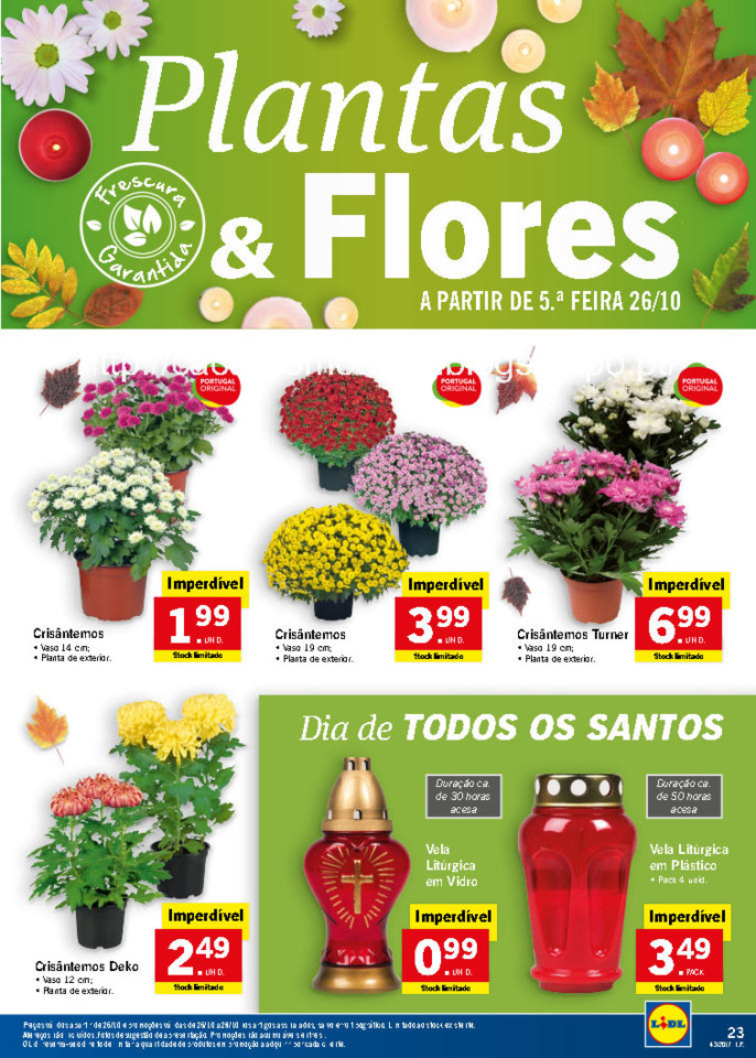 lidl folheto_Page31.jpg