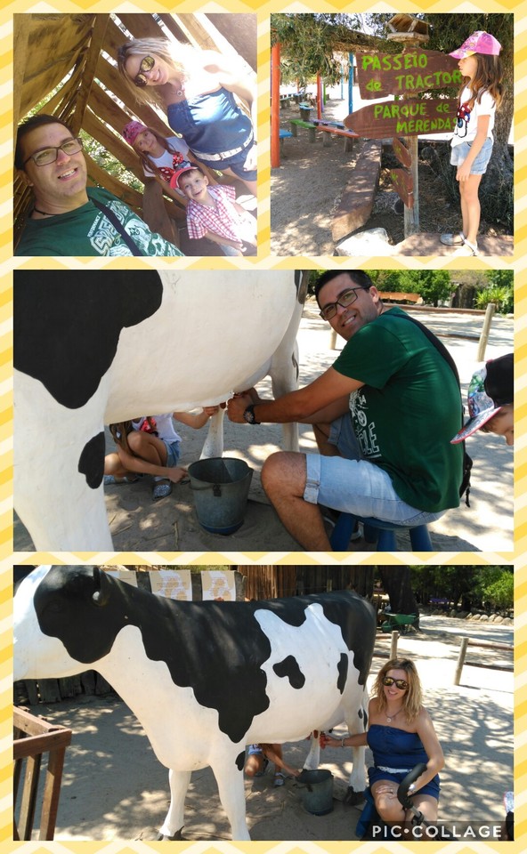 Collage 2017-07-22 22_58_01.jpg