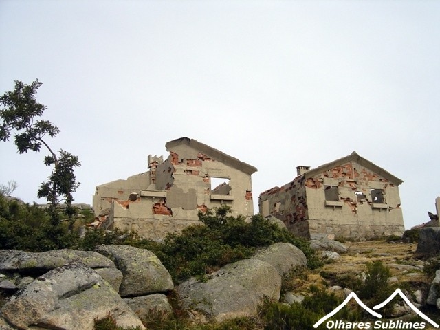 DSC09550.JPG DSC09550.JPG