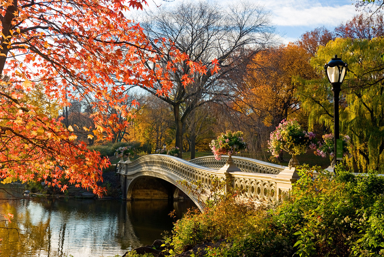 545b93fd35a91eee7e795f1e_bow-bridge-central-park-n