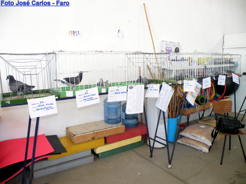 Faro-Monc 016.JPG