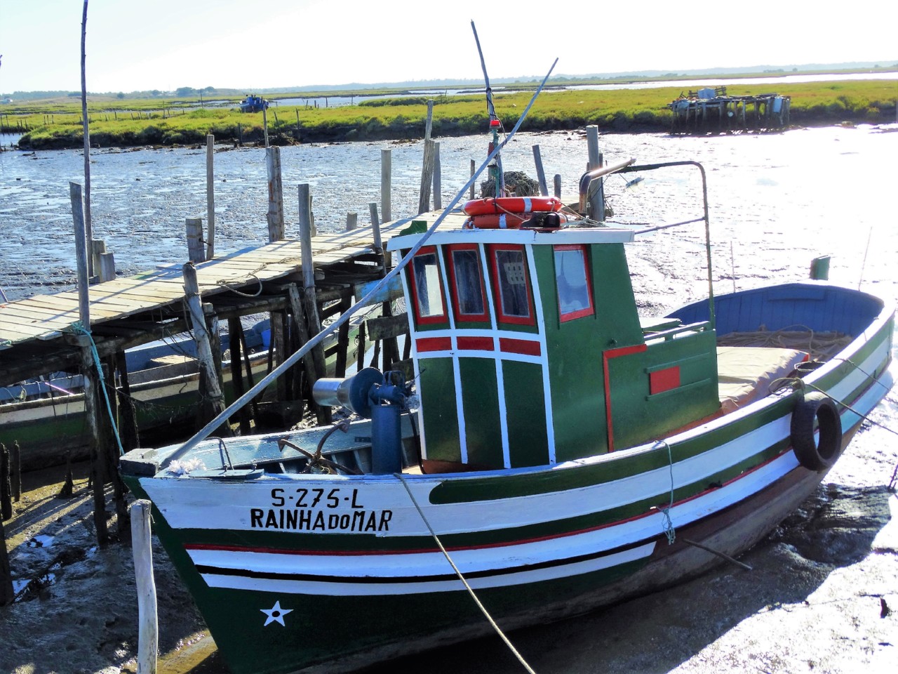 DSC02264.JPG DSC02264.JPG