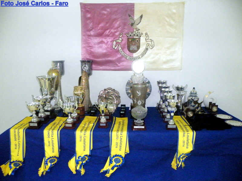 Loulé 2016 003.JPG