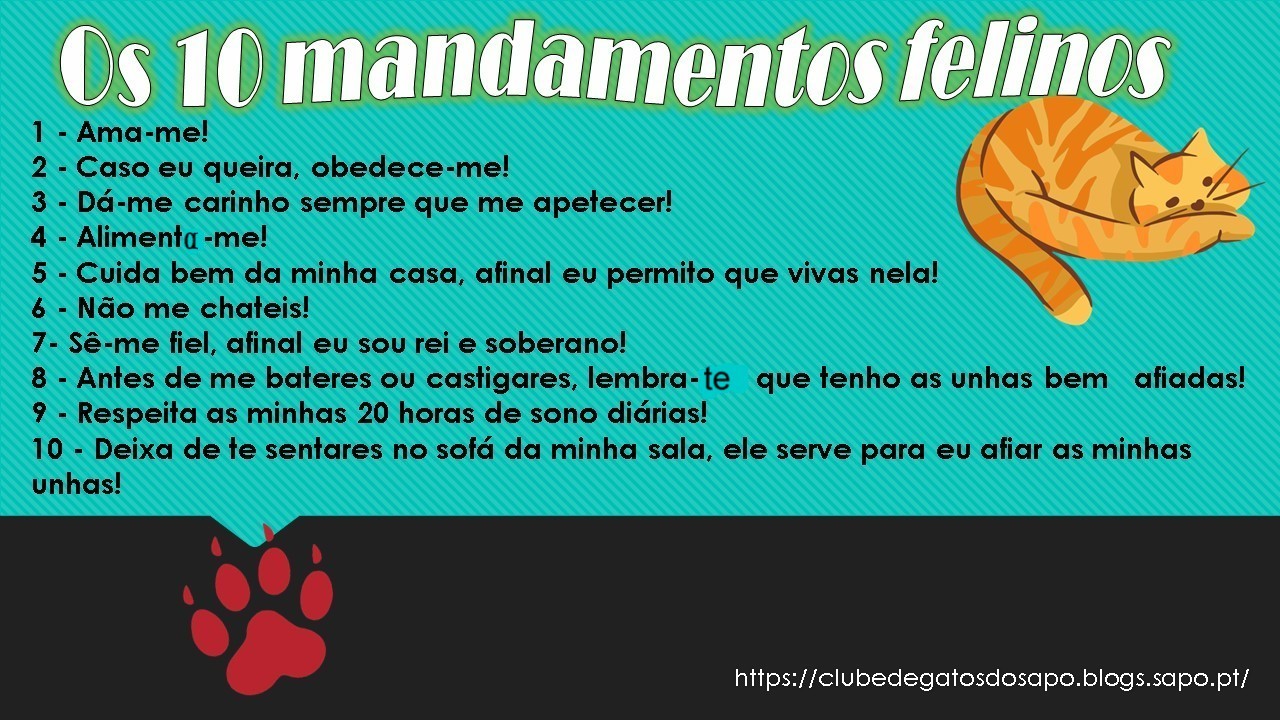 os10mandamentosgatos.jpeg