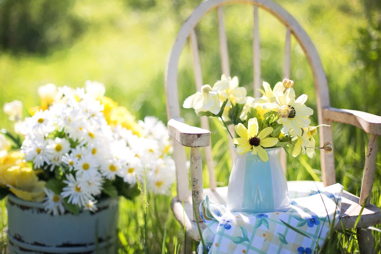 summer-779385_1920.jpg