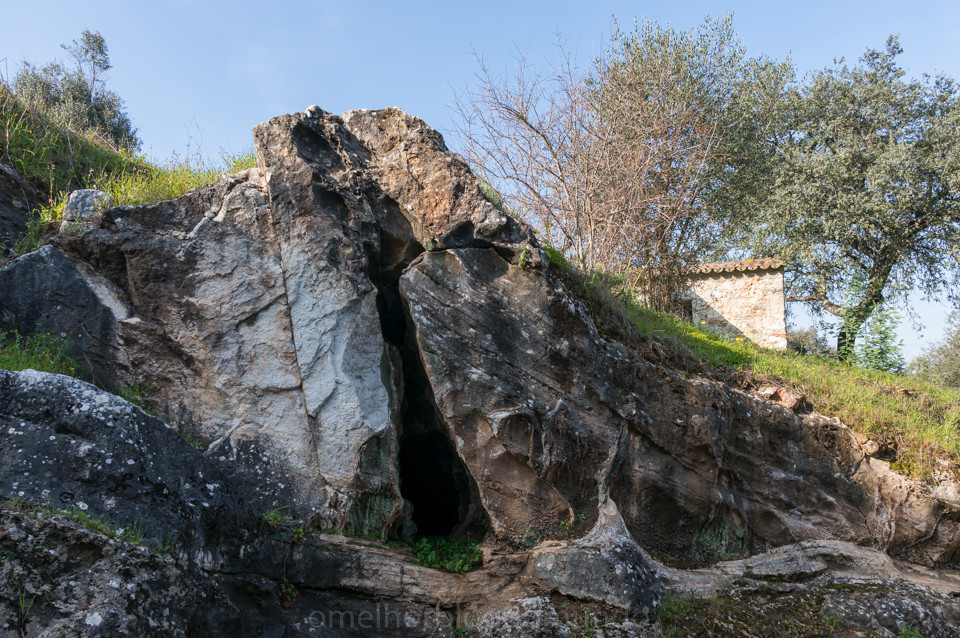 DSC07984.jpg