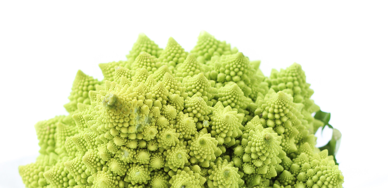 broc.jpg