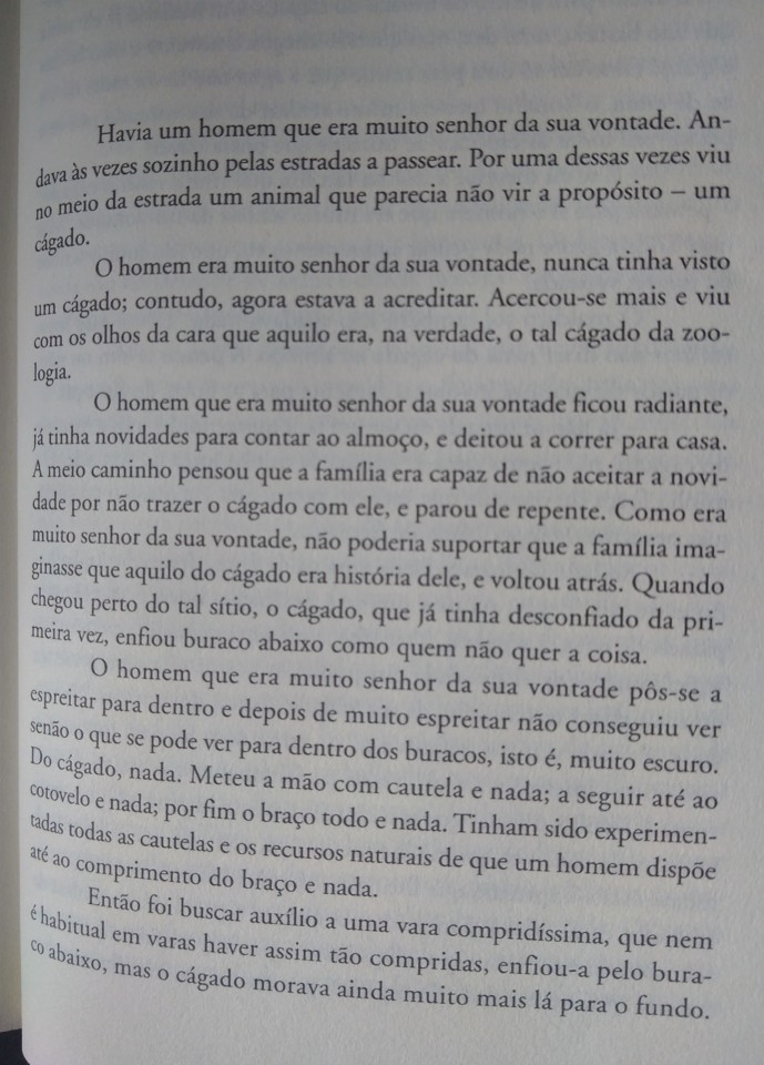 O Cágado 2.jpg