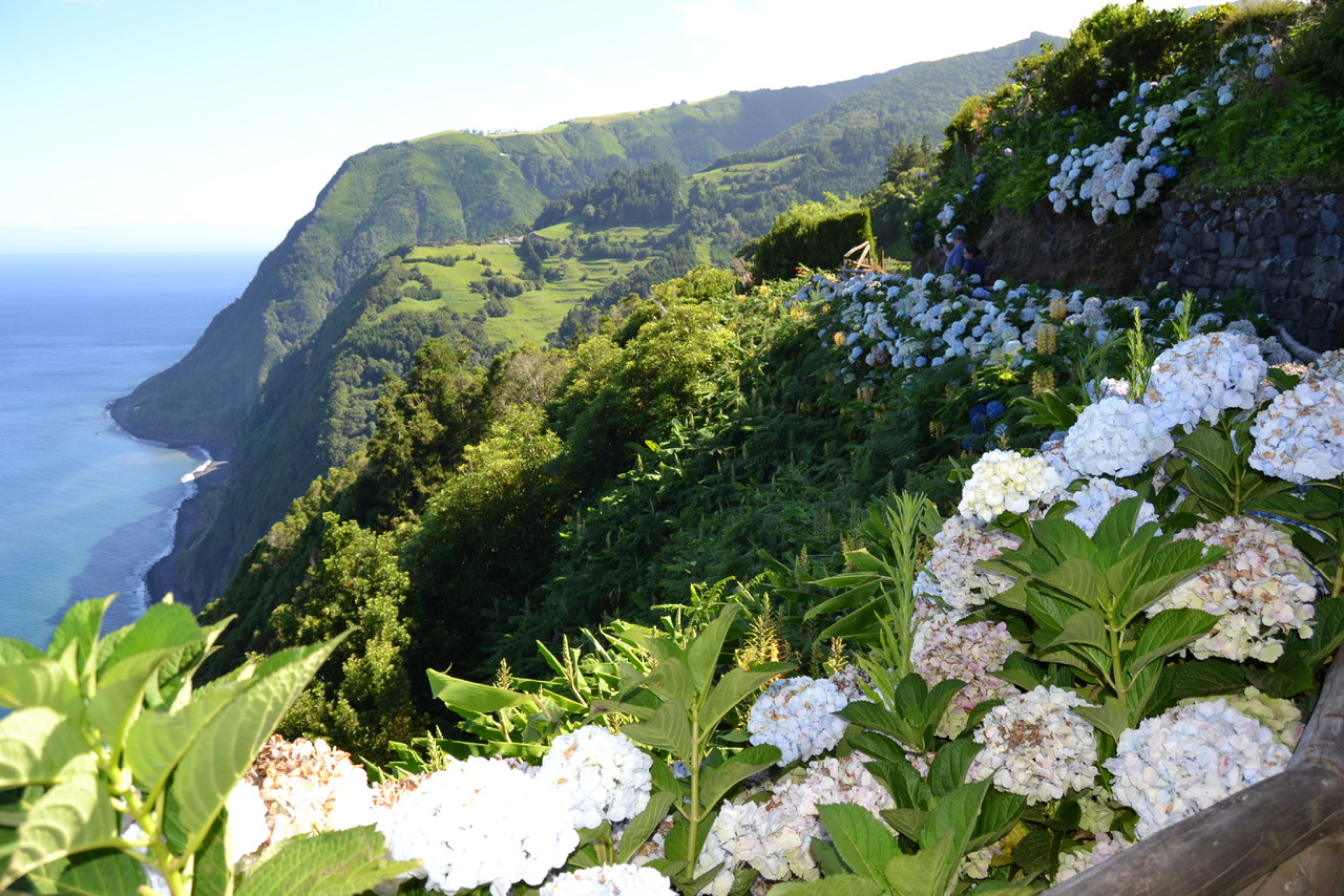 DSC_0056.JPG