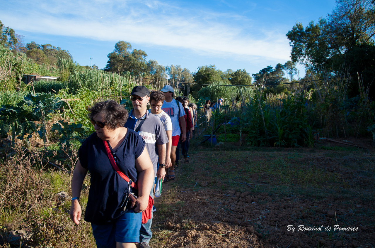 3ª Caminhada com Stória em Agualva-Cacém (24)