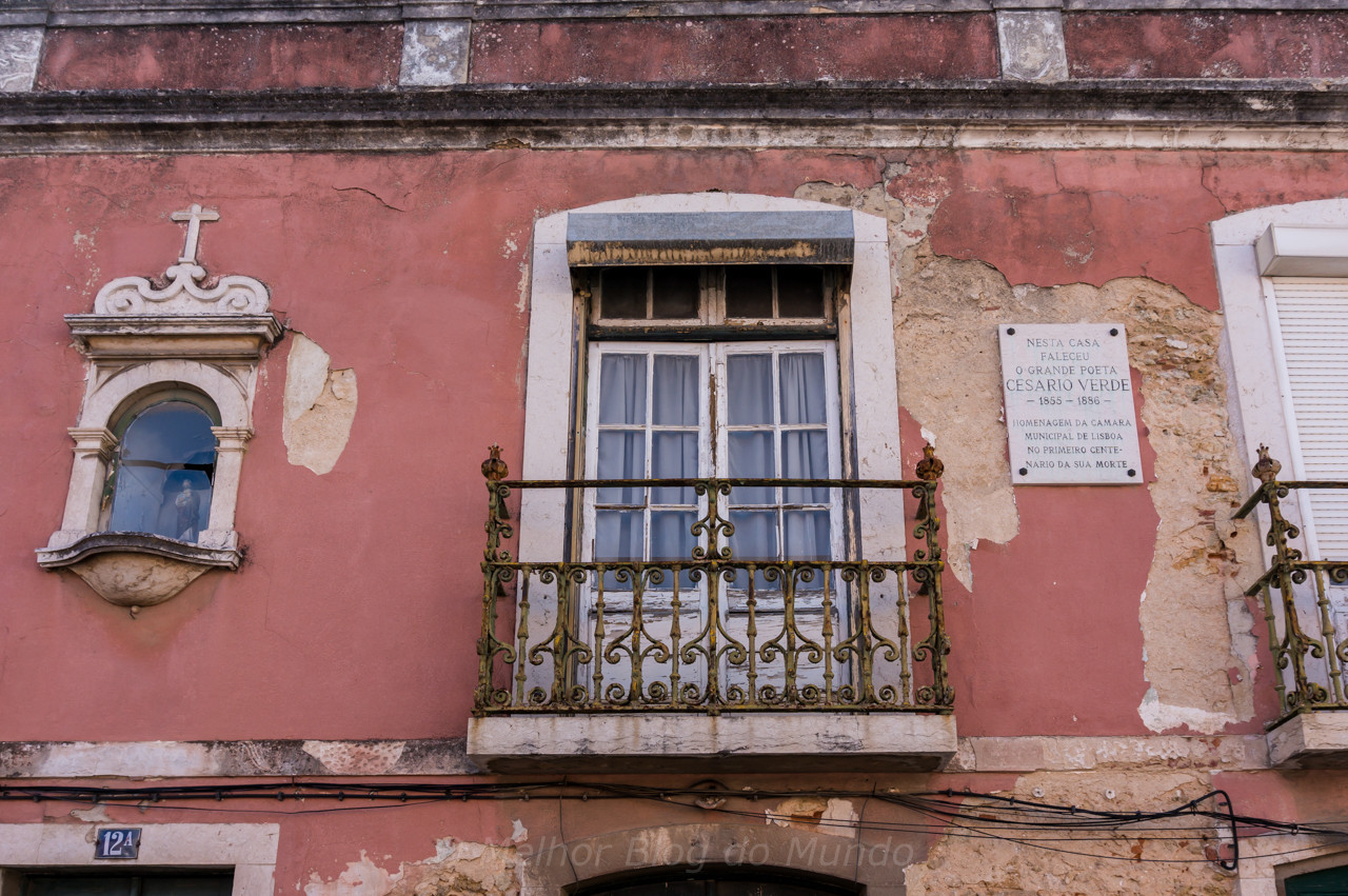 DSC09622.jpg