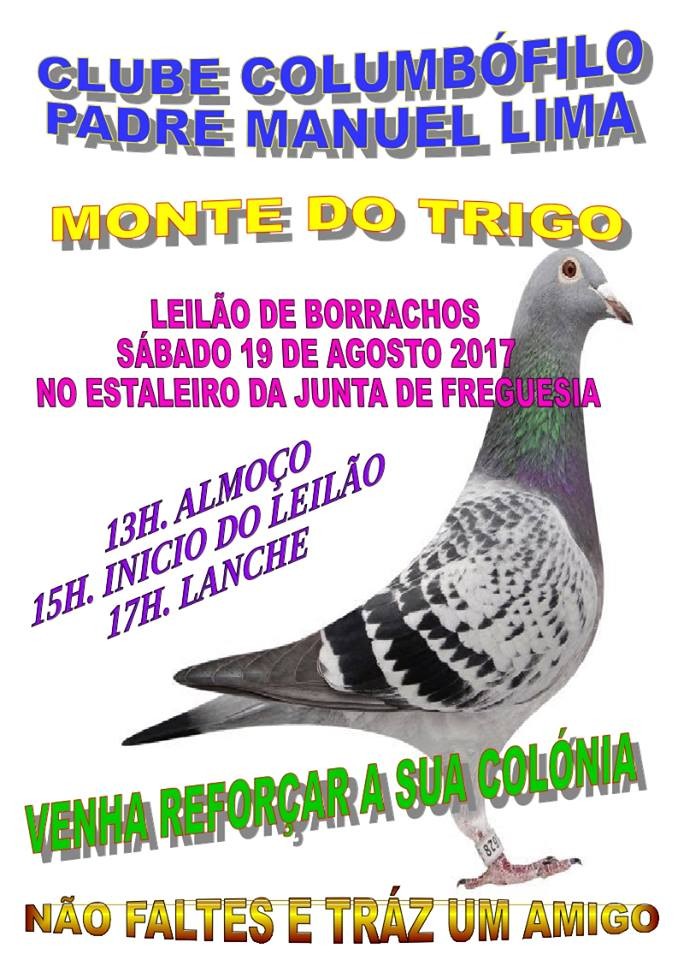 Leilão Monte Trigo.jpg
