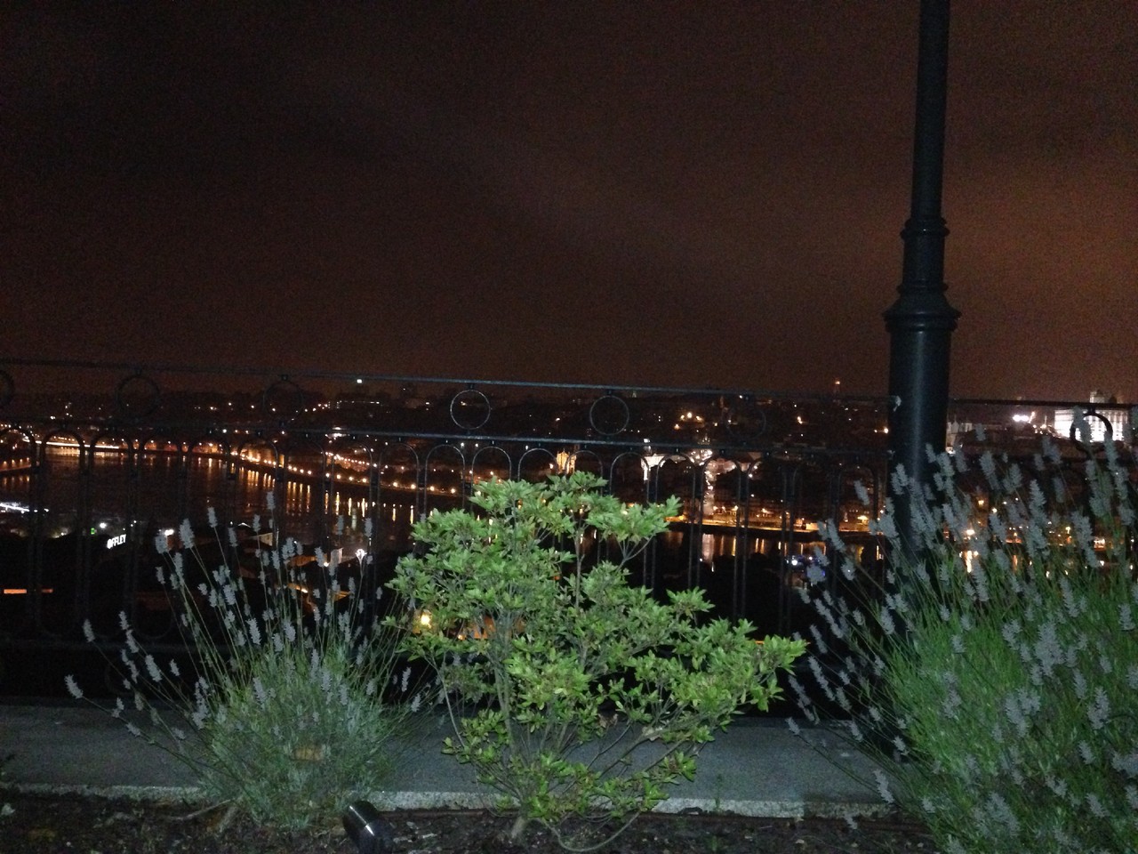 IMG_0165.JPG IMG_0165.JPG