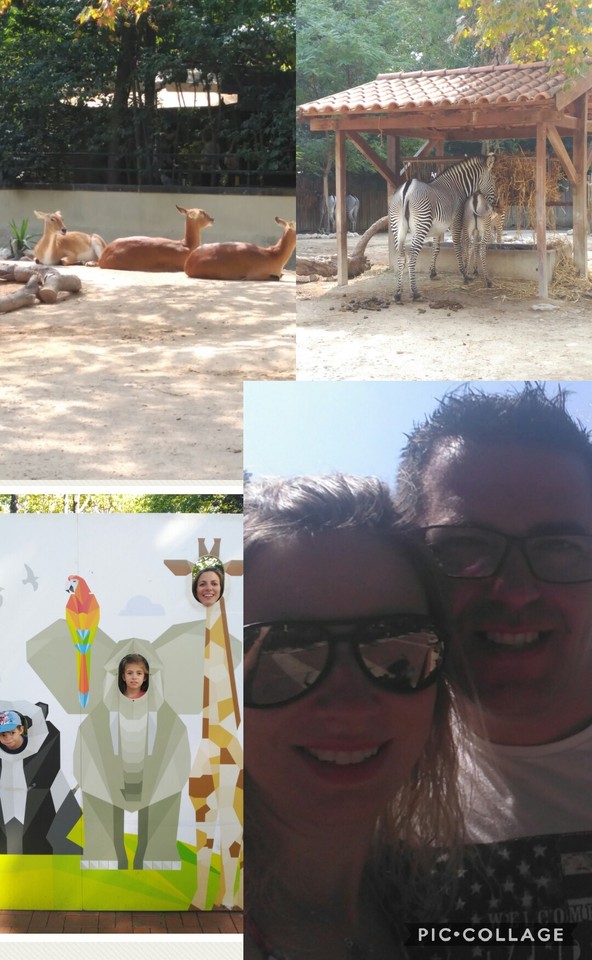 Collage 2017-08-31 23_12_25.jpg