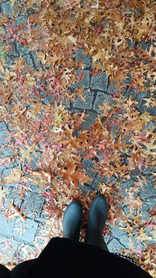20181121_160345.jpg