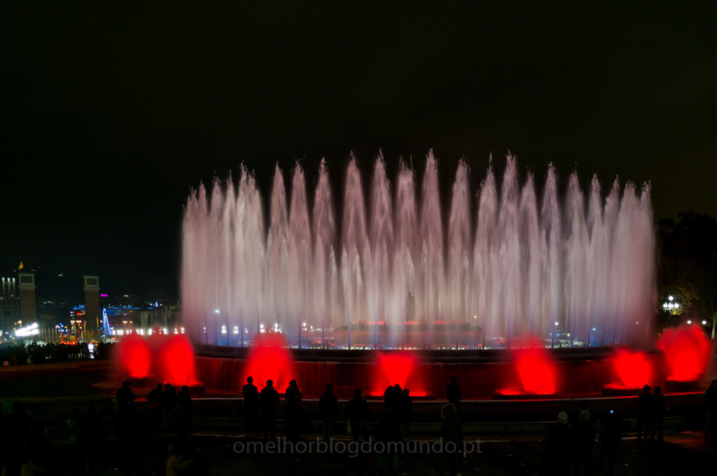 DSC04213.jpg