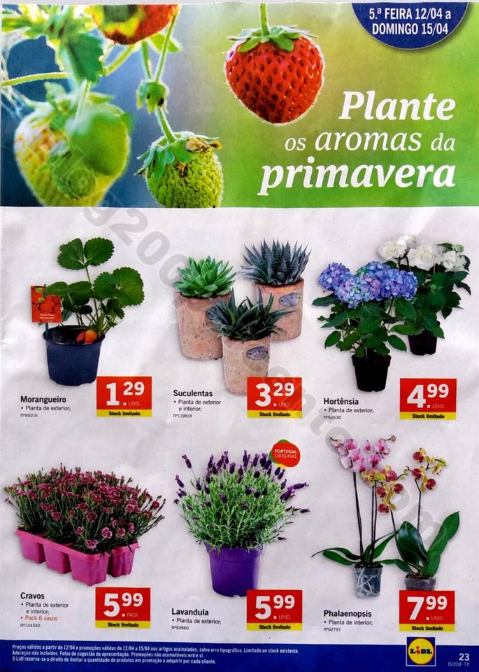 antevisão folheto LIDL 9a15abr antevisão folheto LIDL 9a15abr
