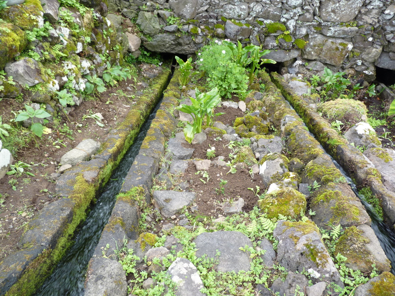 Flores - Moinho da Ribeira da Alagoa (6).JPG