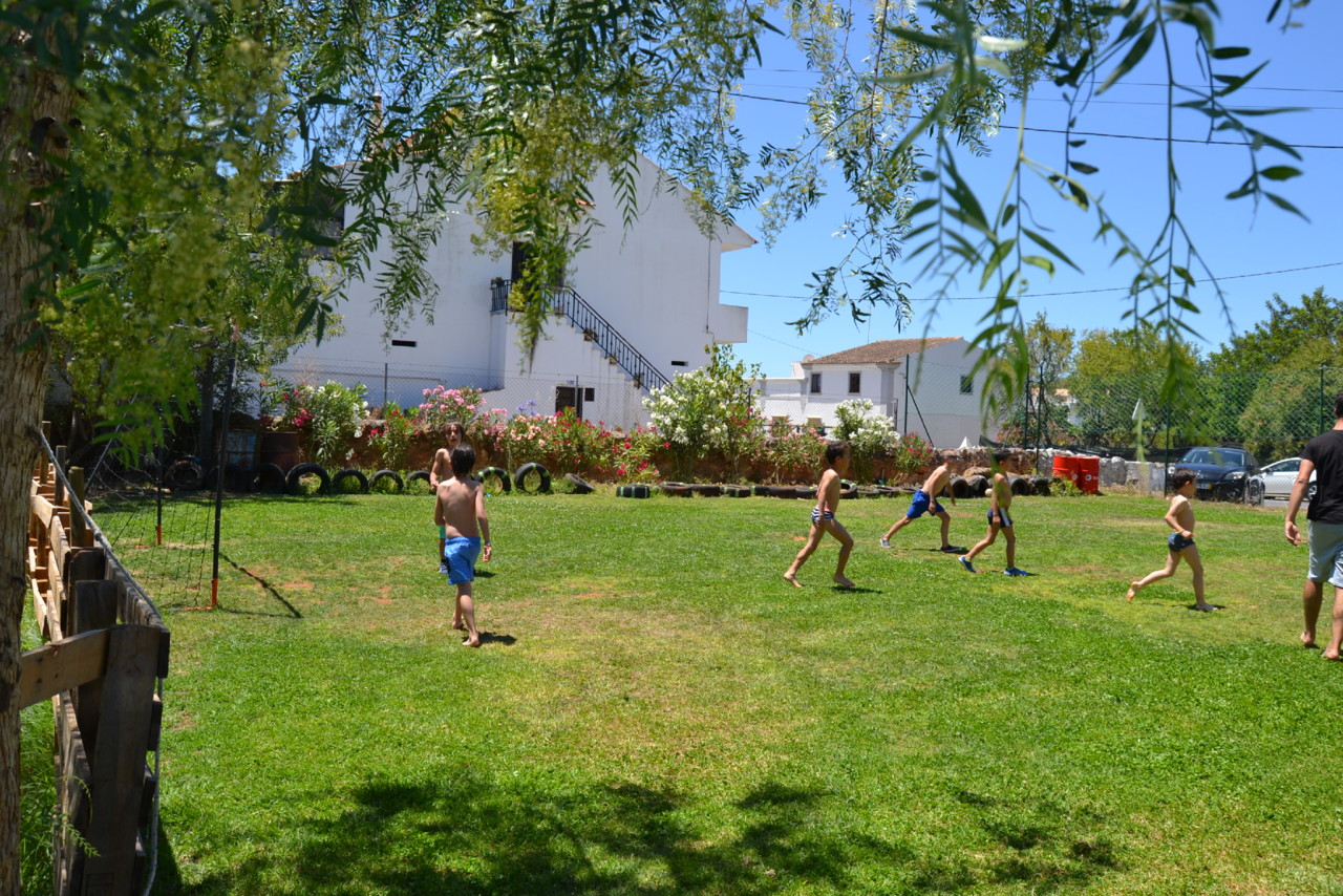 DSC_0713.jpg DSC_0713.jpg