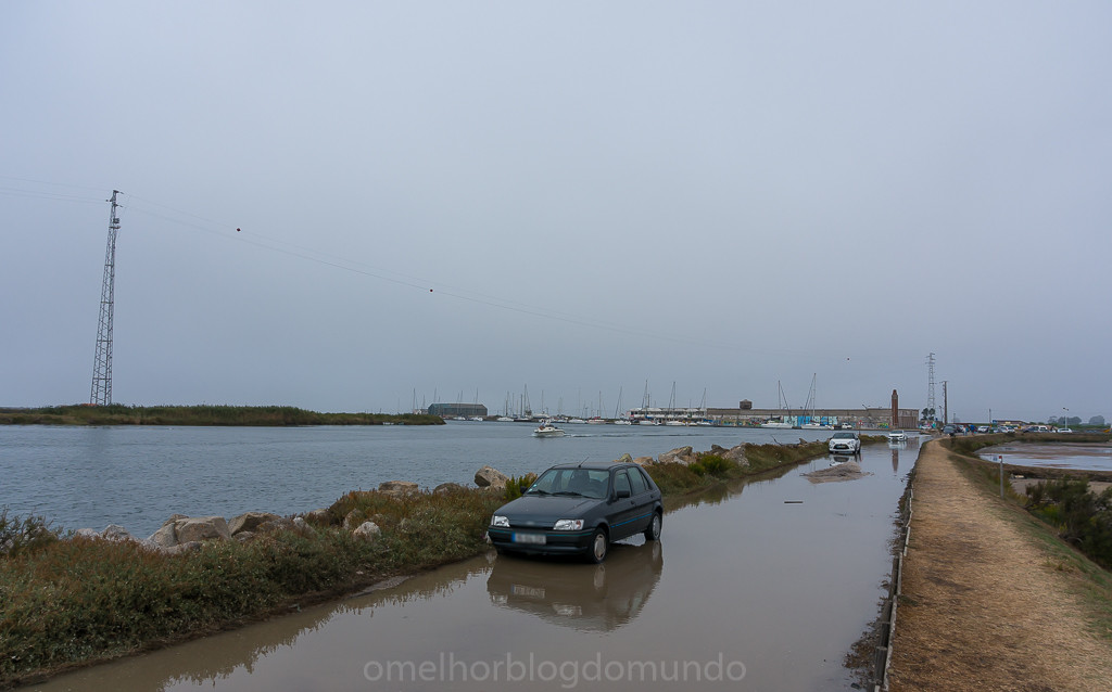DSC05060.jpg