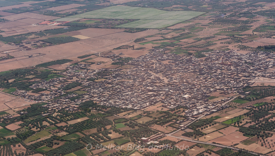 DSC03555.jpg