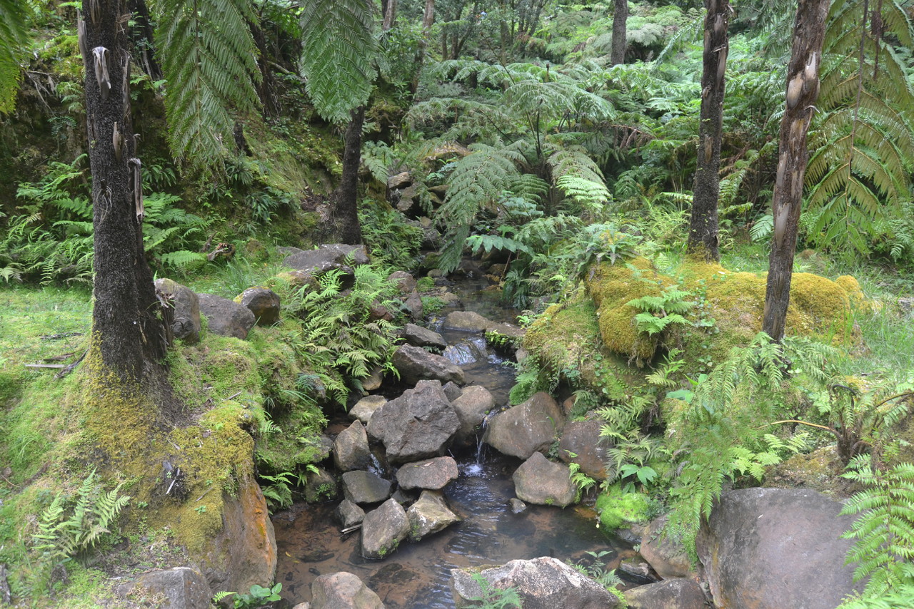 DSC_0906.JPG