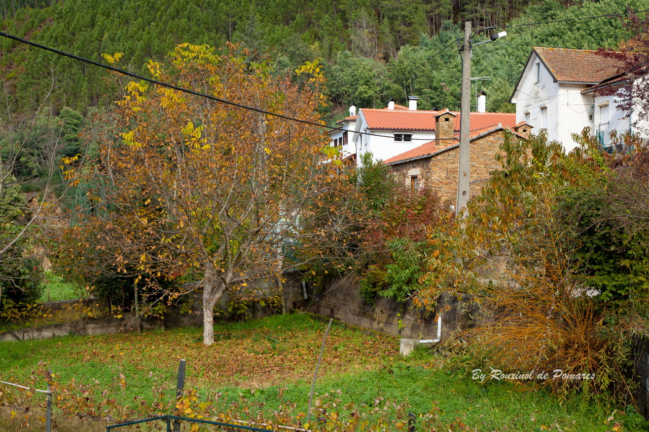 Agroal-Pomares-Arganil (7).JPG