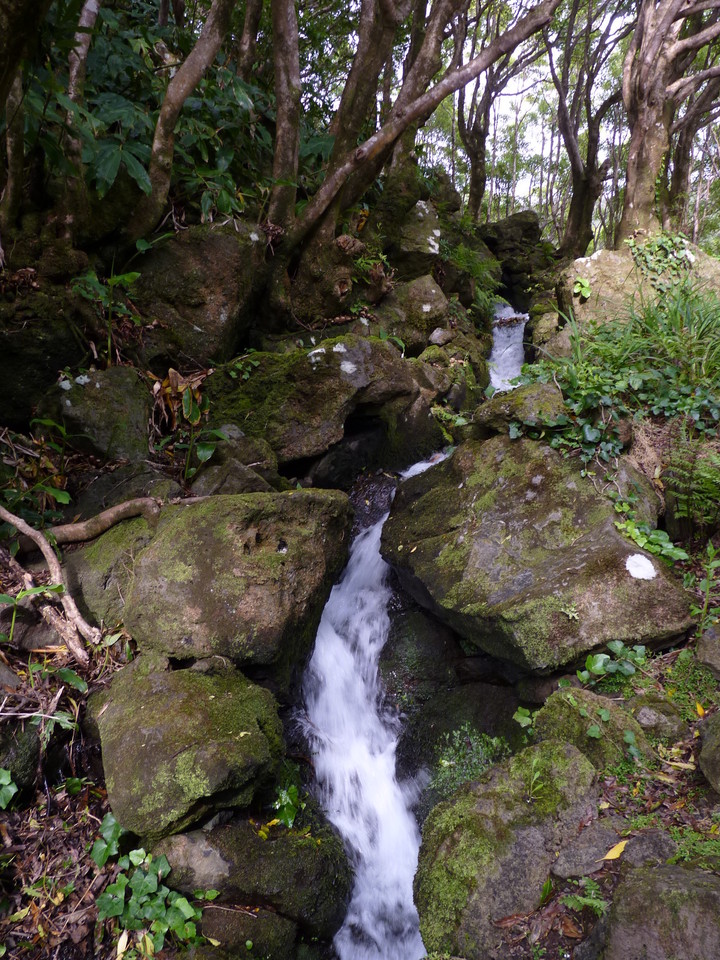 Percurso até ao Poço da Ribeira do Ferreiro - Il Percurso até ao Poço da Ribeira do Ferreiro - Il