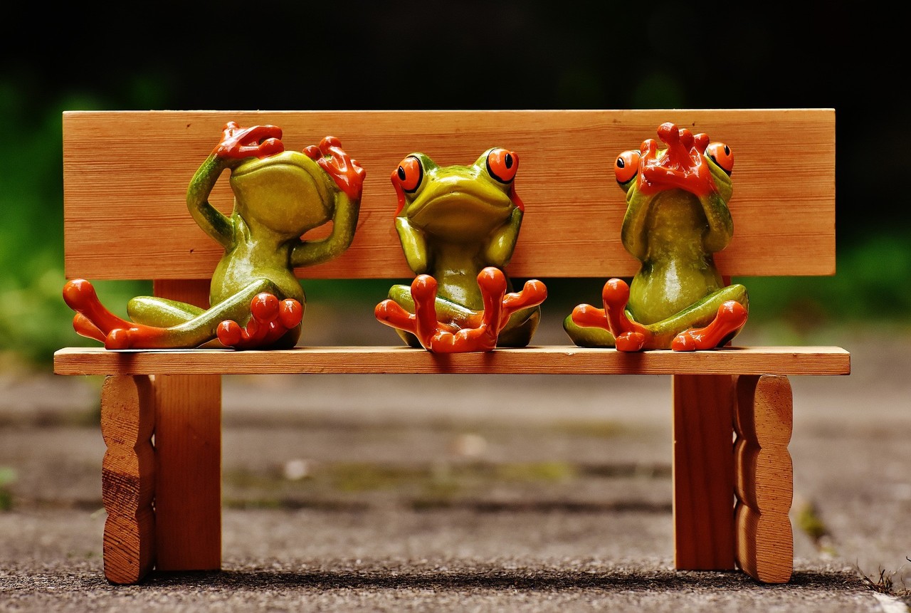frogs-1610563_1920.jpg