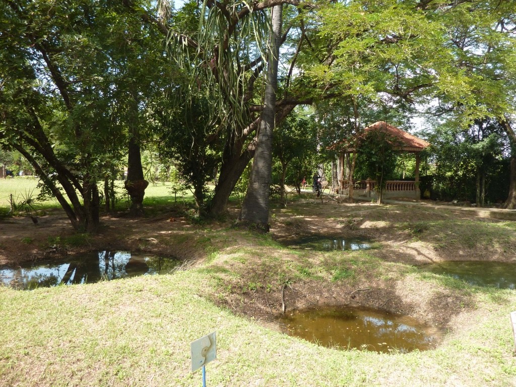 thumb_P1070967_1024.jpg