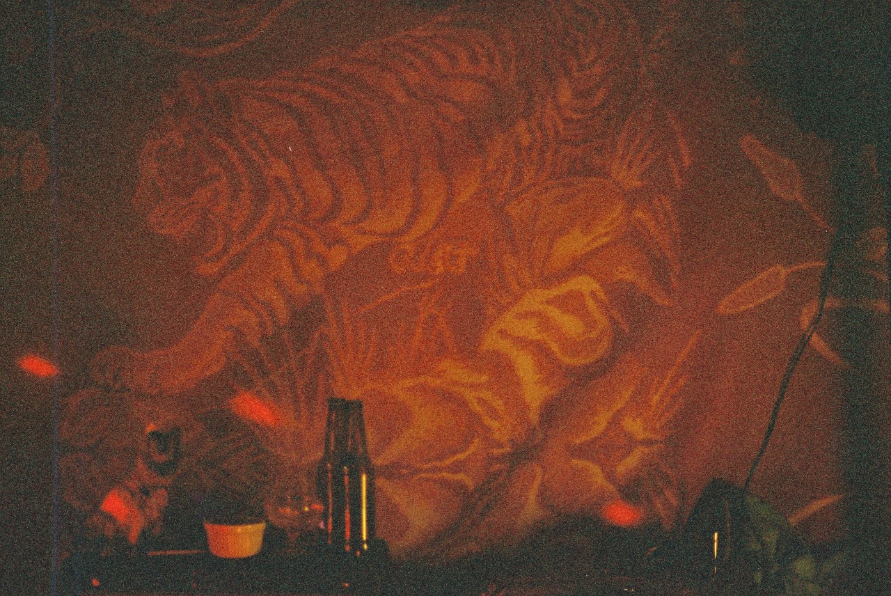 Tigre.JPG