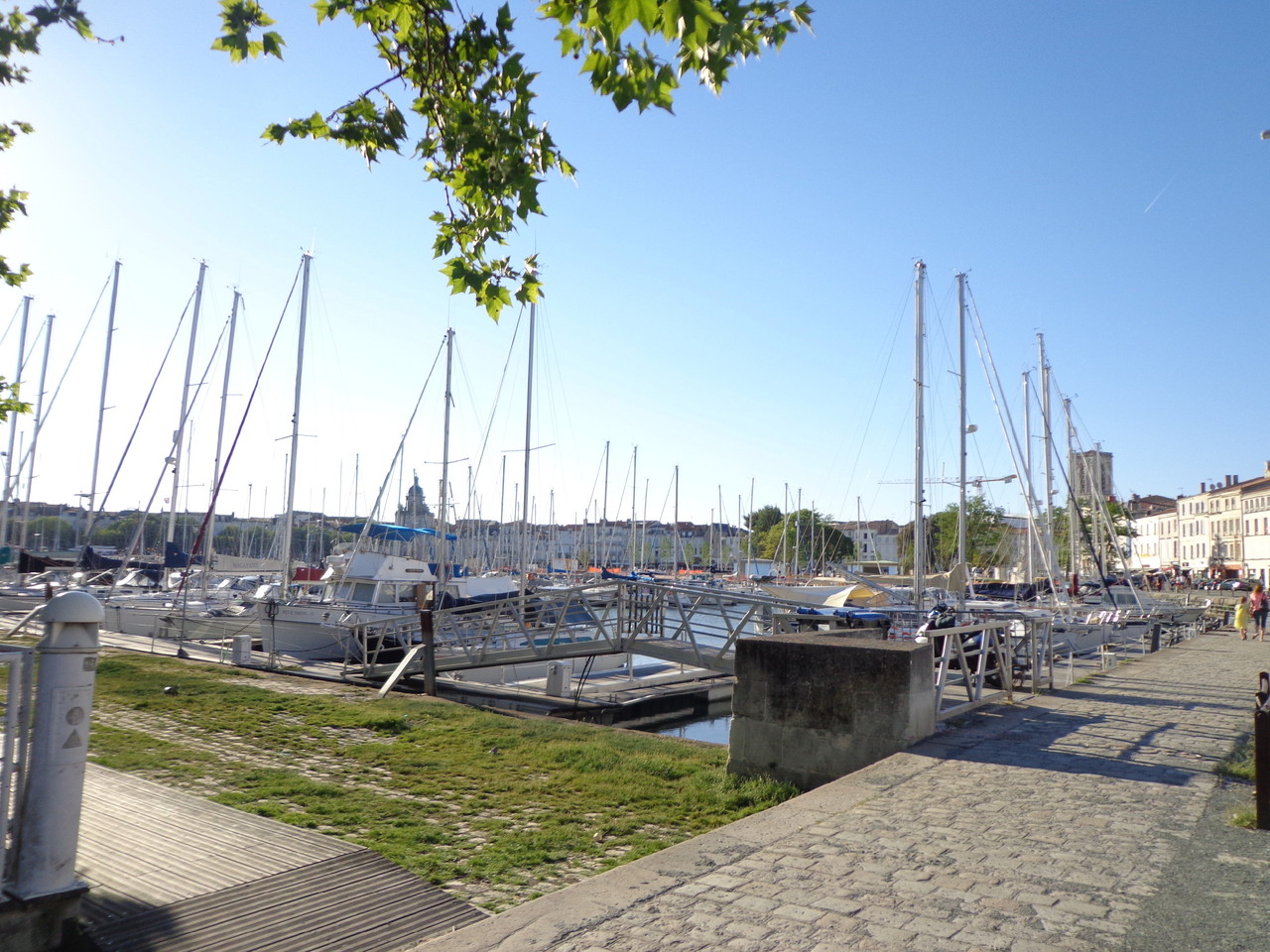 DSC02637.JPG