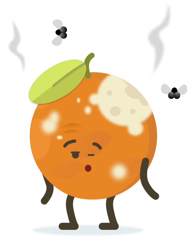 laranja gripada.jpg