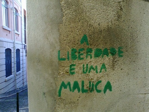 16455732_CMaGM.jpeg