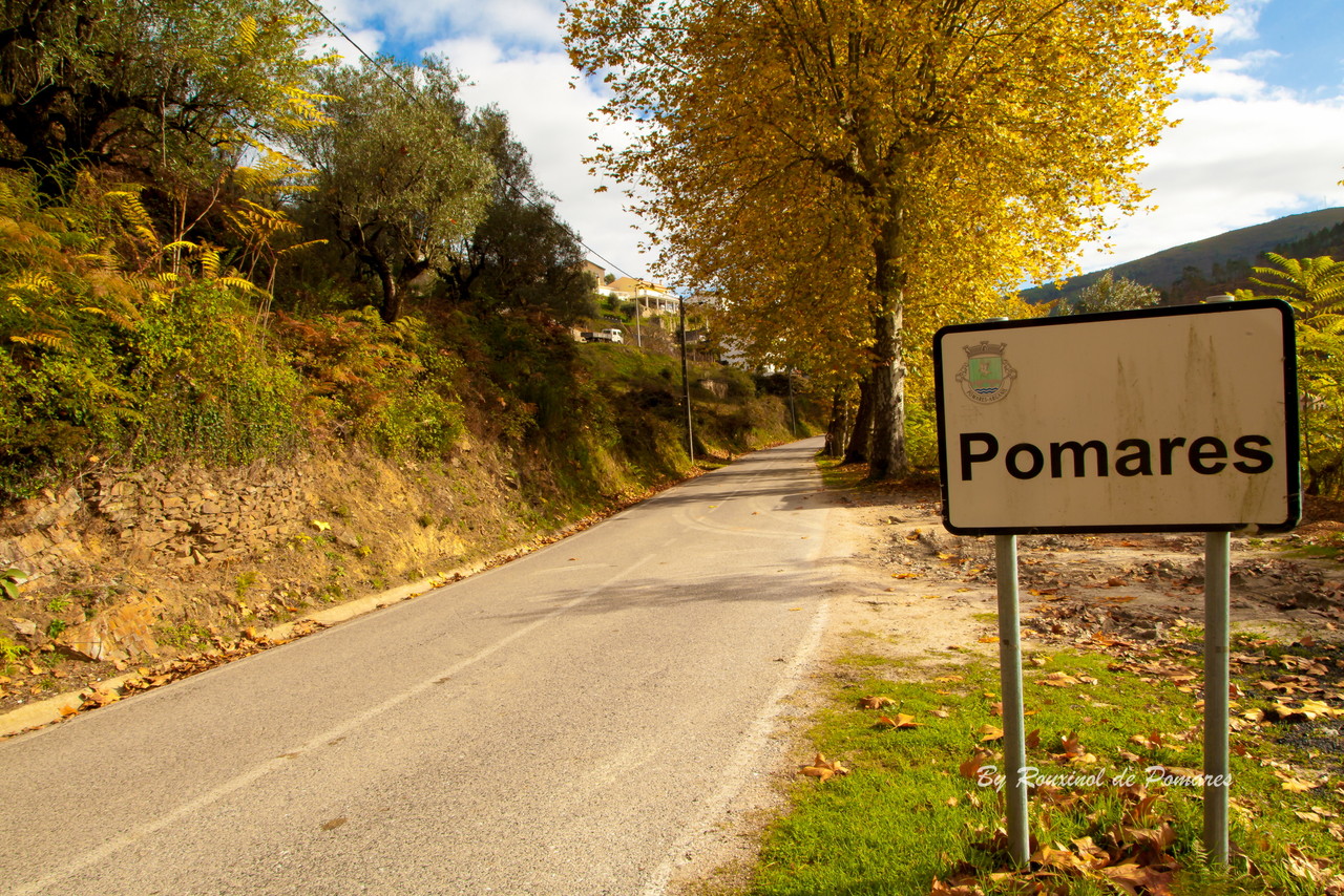 Outono em Pomares (1).JPG