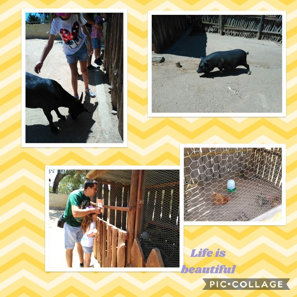 Collage 2017-07-22 22_54_52.jpg