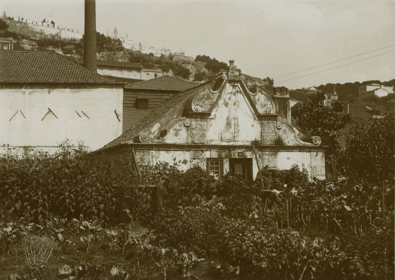 Horta Navia.jpg