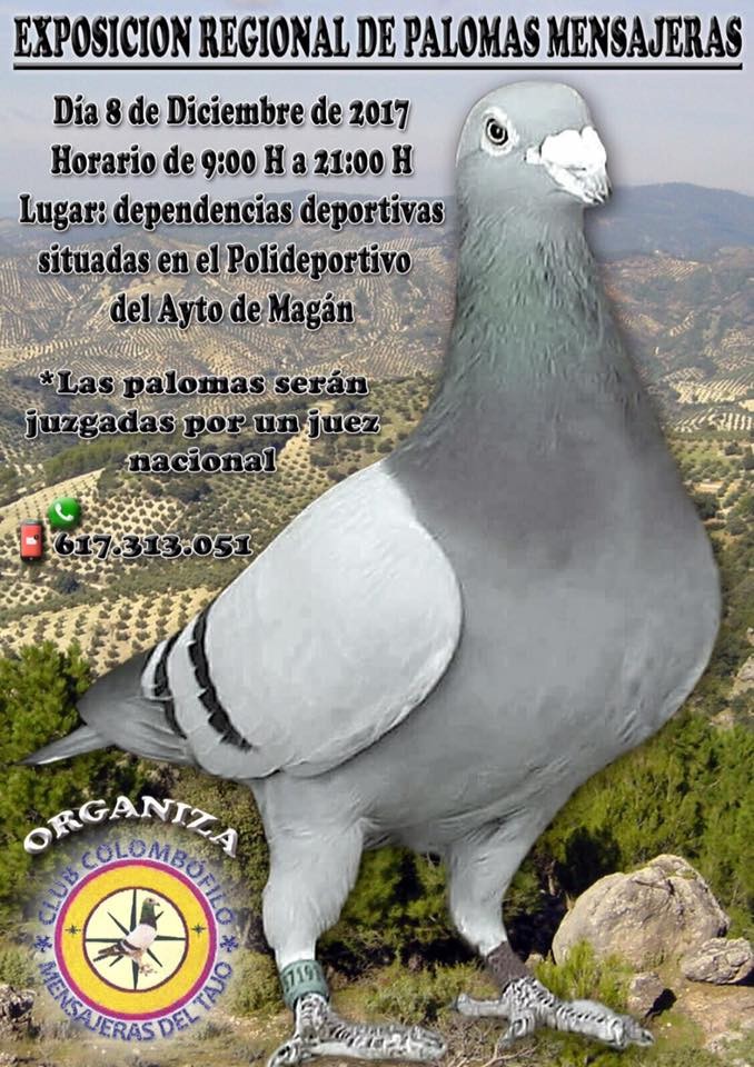 Exp. Espanha.jpg