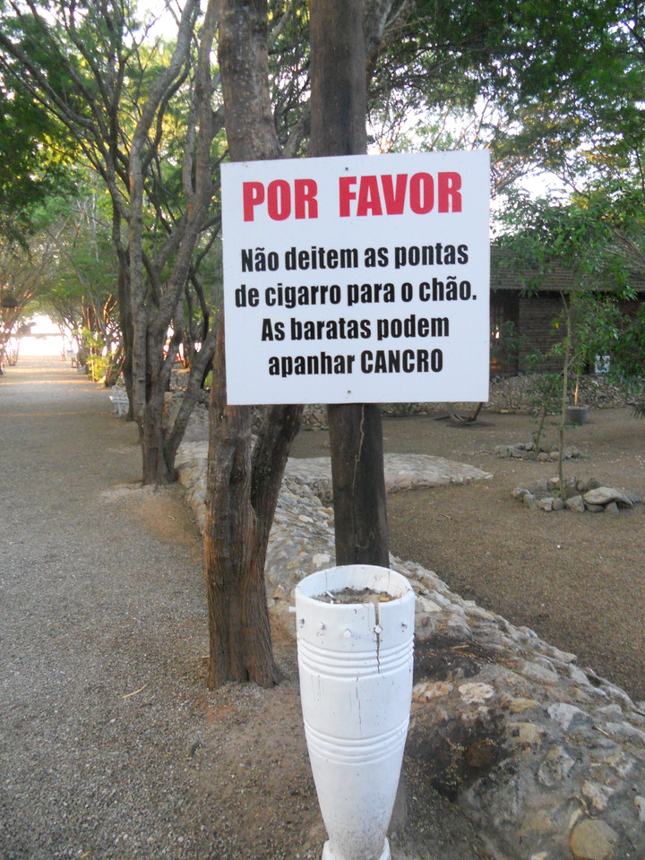 DSCN0052.JPG