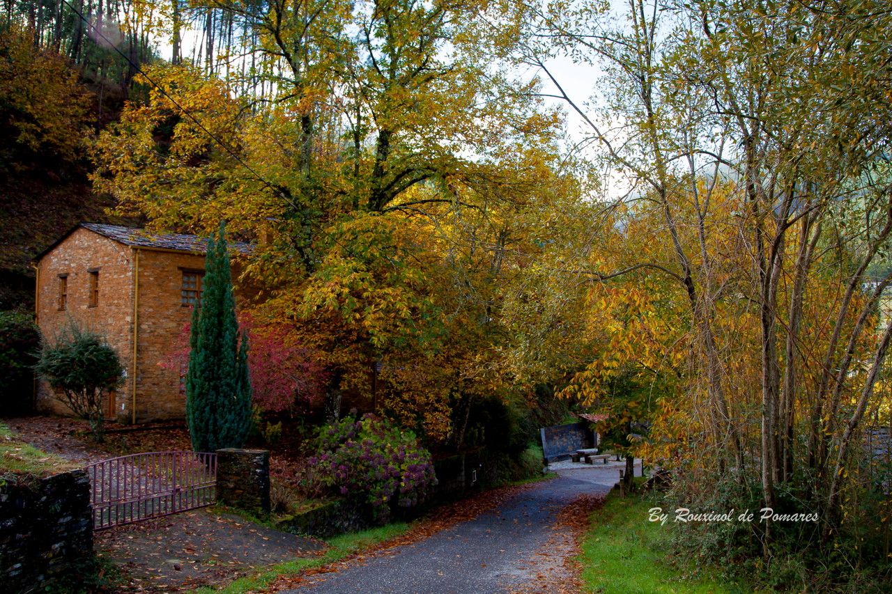 Agroal-Pomares-Arganil (2).JPG