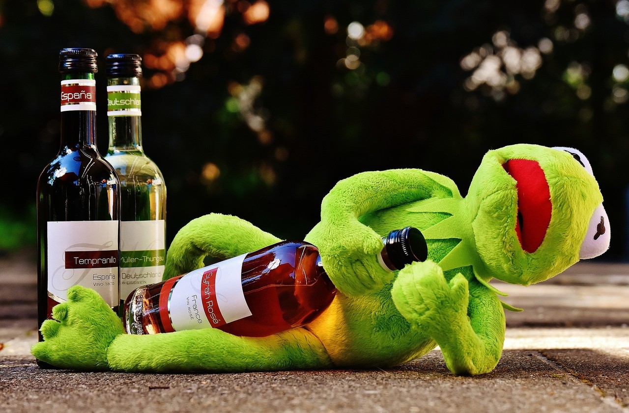 kermit-1651615_1920.jpg