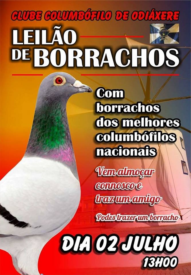 Leilão Odiáxere.jpg